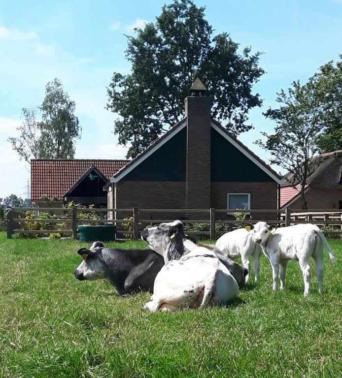 Het Kleine Landgoed Villa Haarle Eksteriør billede